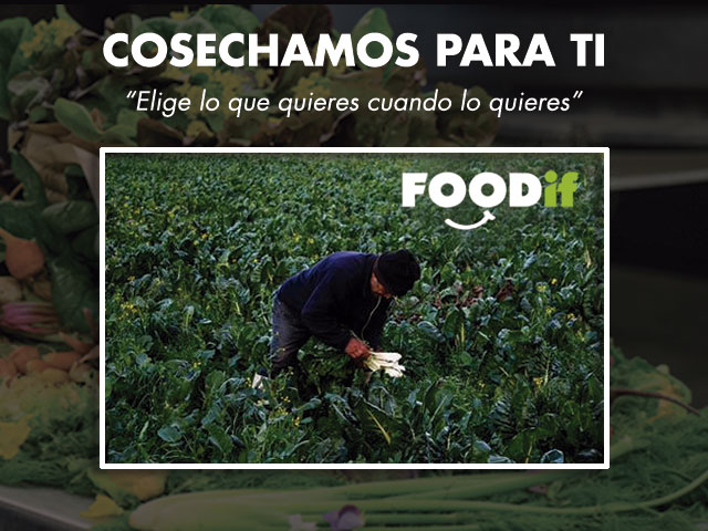  - Presentacin Foodif